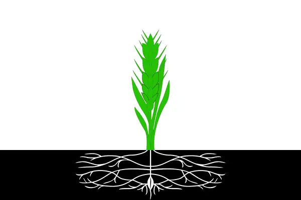 Флаг: Починковский район